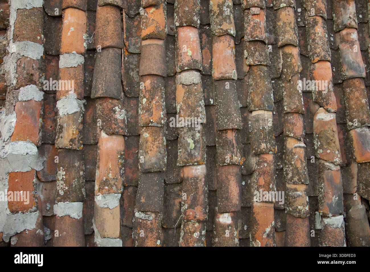 Dachziegel/ TETTO TEGOLA Texture Foto Stock