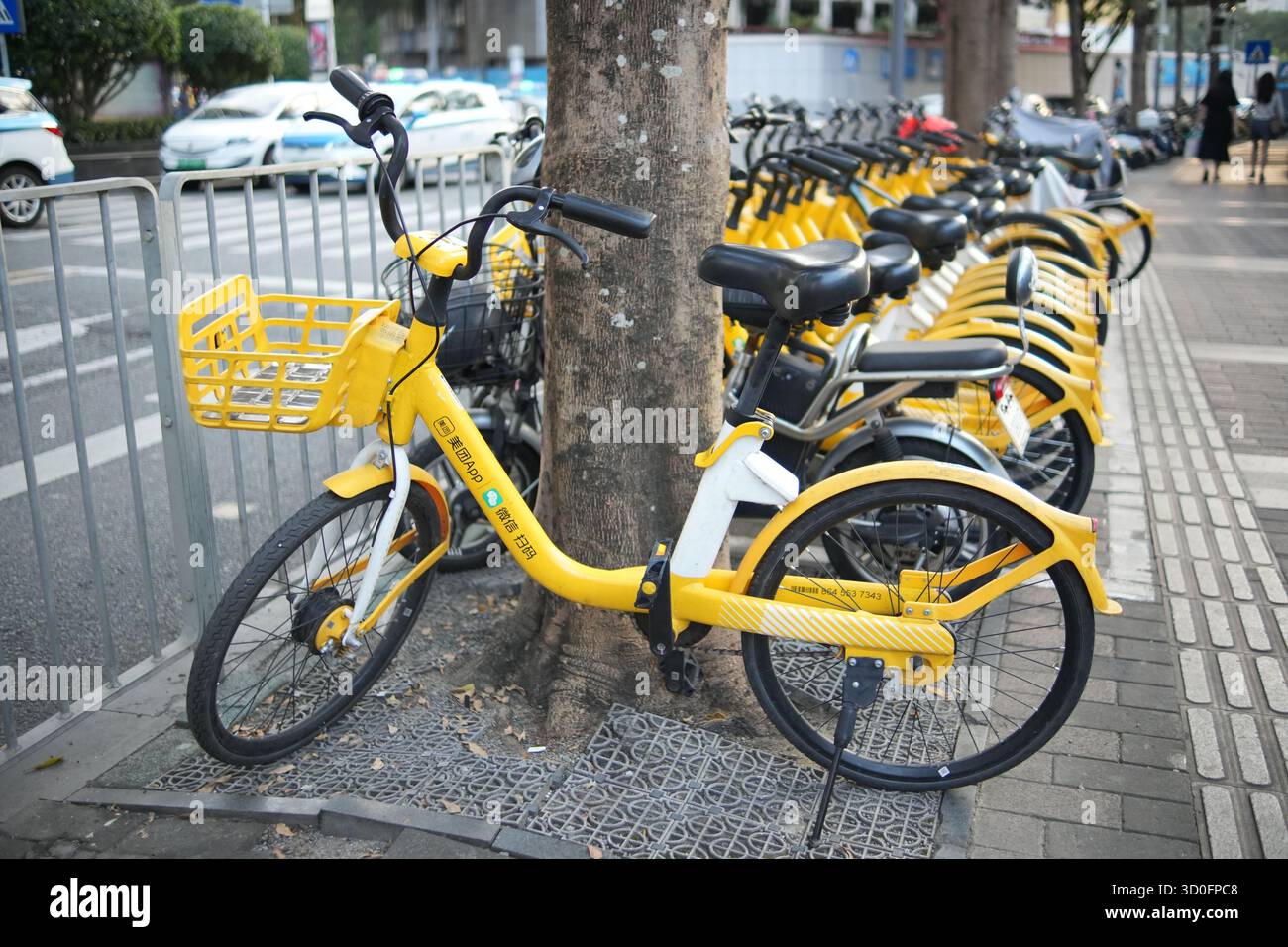 Shenzhen, Guangdong Cina - 10 16 2024: Biciclette gialle condivise parcheggiate lungo una strada della città di shenzhen in Cina, con una bicicletta incatenata ad un albero nel fo Foto Stock