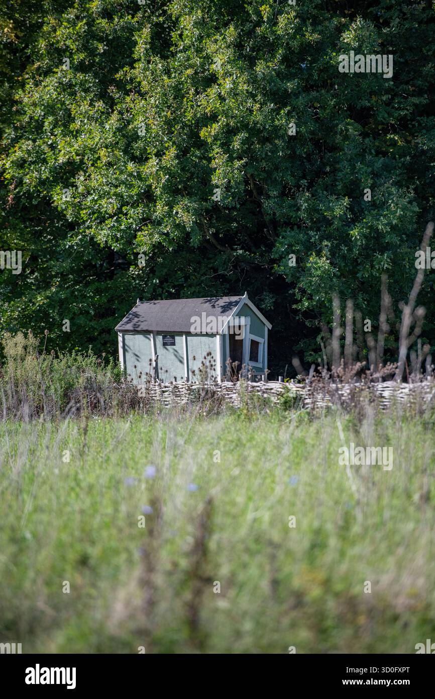vecchio capannone di legno all'angolo di un prato verde. giardino in legno capannone in campo con erba lunga. Foto Stock