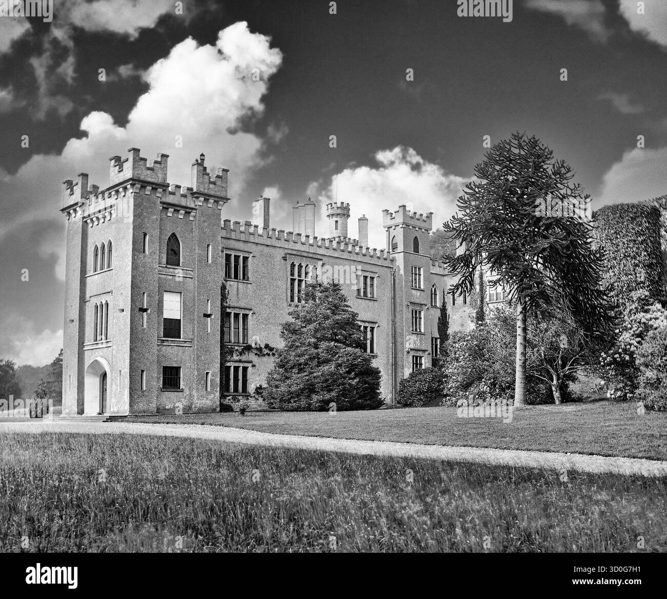 Il castello di Cabra vicino a Kingscourt nella contea di Cavan, in Irlanda, fu costruito nel primo decennio del XIX secolo in una miscela di "stile neo-normanno", mentre l'interno è principalmente "gotico". Fu costruito per la famiglia Foster, una famiglia locale di "ascendenza", ma il costo della costruzione della nuova casa di campagna li fece fallire. Così, nel 1813, poco dopo aver completato, i Fosters vendettero la loro nuova casa di campagna ai vicini più ricchi, che vendettero la casa di campagna a una famiglia cattolica locale, i Brennani, nel 1964, che a loro volta trasformarono il castello in un hotel. Foto Stock
