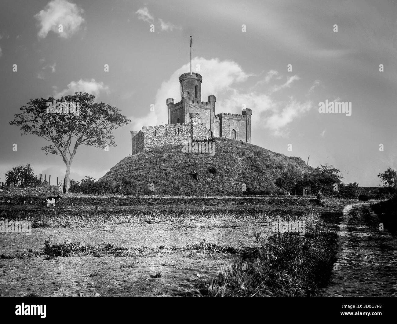 La falsa follia del castello di Donaghadee, Contea di Down, Irlanda del Nord, localmente conosciuta come Moat, è stata un sito difensivo fin dall'età del bronzo, quando fu costruito un Ringfort o Rath. Nel XIII secolo divenne un castello normanno motte-and-bailey. All'inizio del XIX secolo Donaghadee era il principale porto per i viaggiatori tra l'Ulster e la Scozia, così quando iniziarono i lavori per un nuovo porto, il finto castello fu costruito sul sito delle vecchie fortificazioni per immagazzinare la polvere da sparo utilizzata per il brillamento. Foto Stock