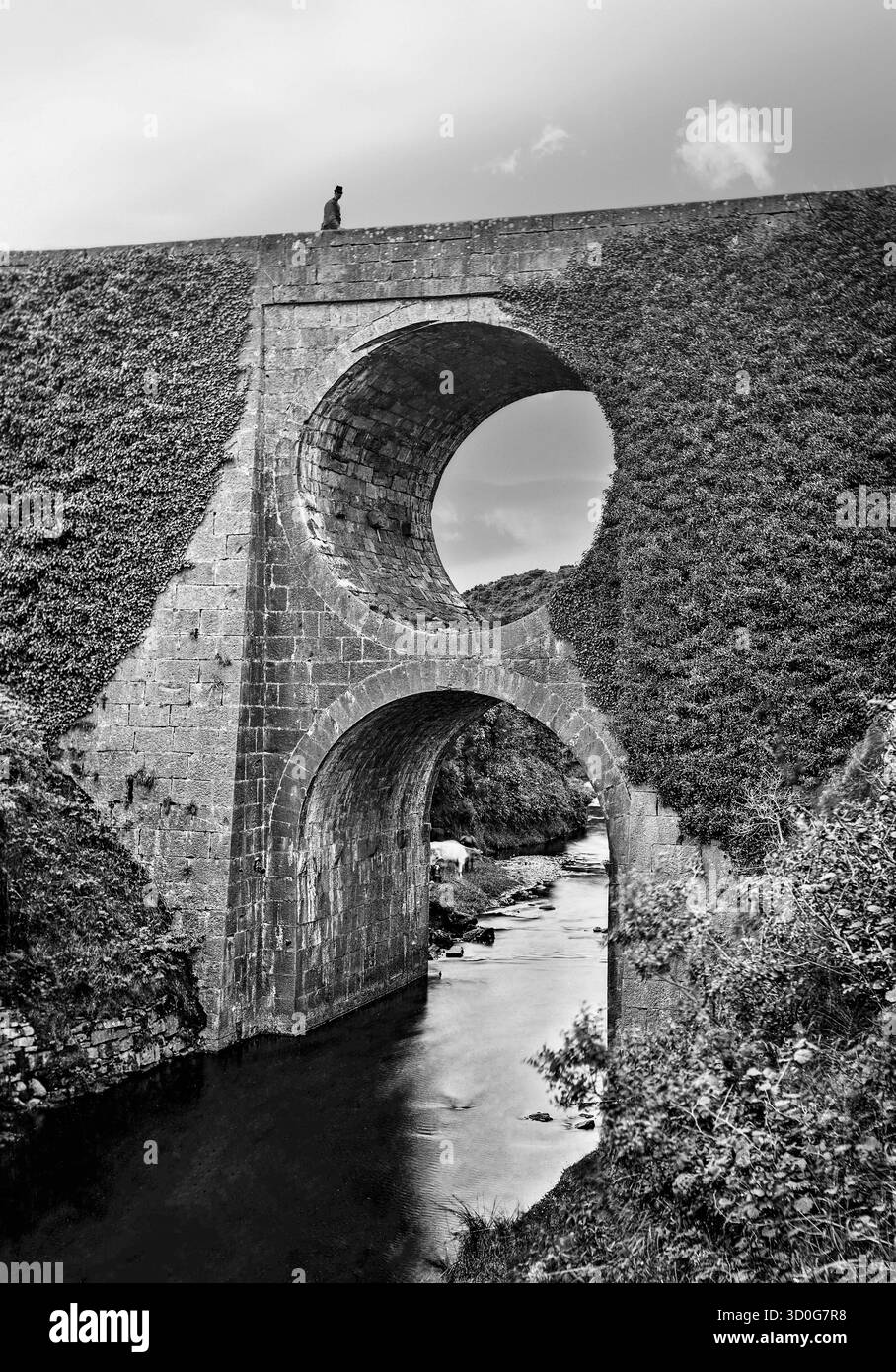 Lo Spectacle Bridge è stato progettato dall'ingegnere della contea di Clare, John Hill, costruito nel 1816. Sulla strada tra Lisdoonvarna ed Ennistymon, si estende lungo la gola del fiume Aille, fino a 25 metri di profondità nei punti, e un solido ponte sarebbe stato troppo pesante. Hill progettò quindi un tunnel che passava attraverso il centro per rendere la struttura più leggera, dando così il nome. Foto Stock
