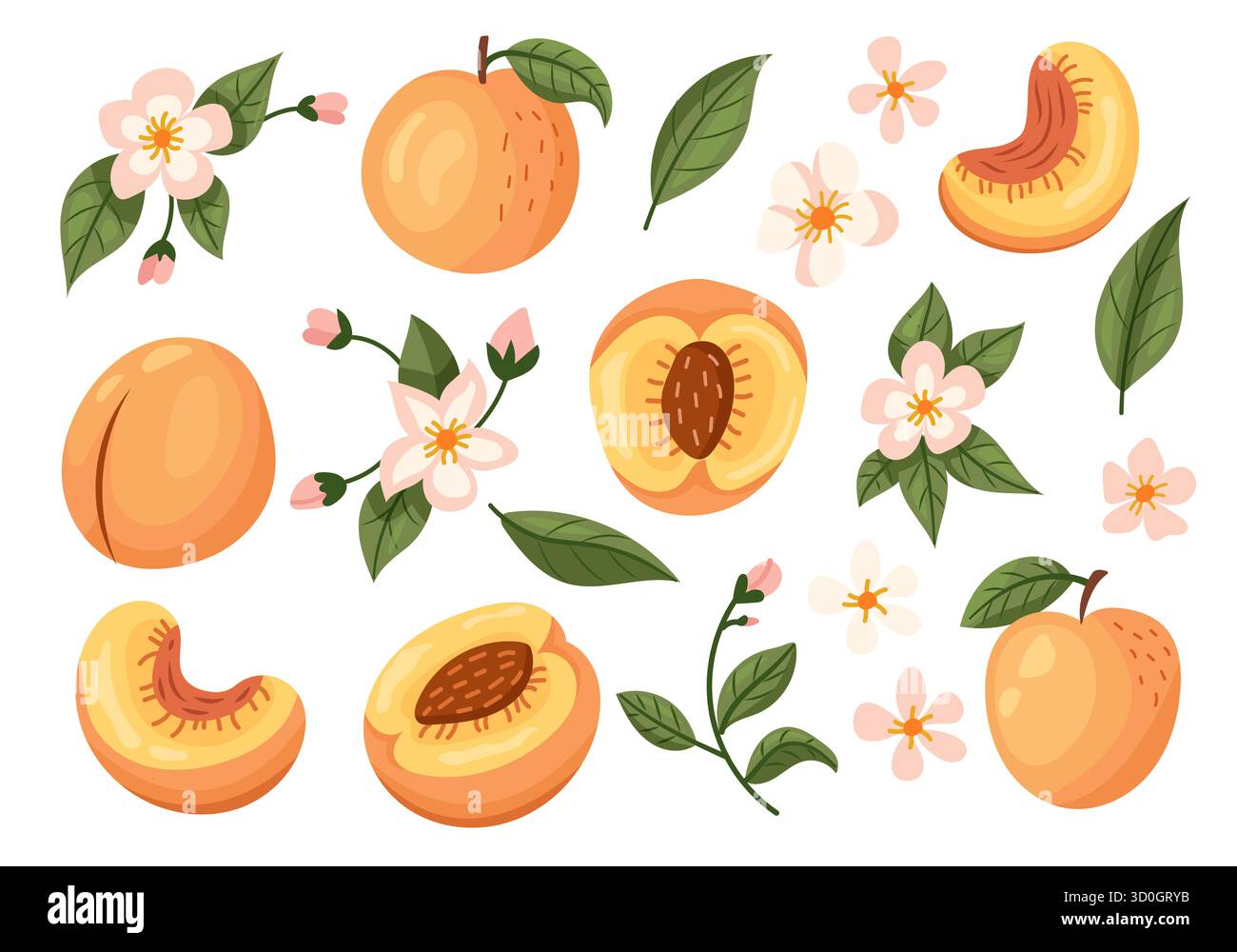 Affascinanti e deliziose illustrazioni con pesche e fiori, ideali per concetti a tema estivo e design gastronomico Illustrazione Vettoriale
