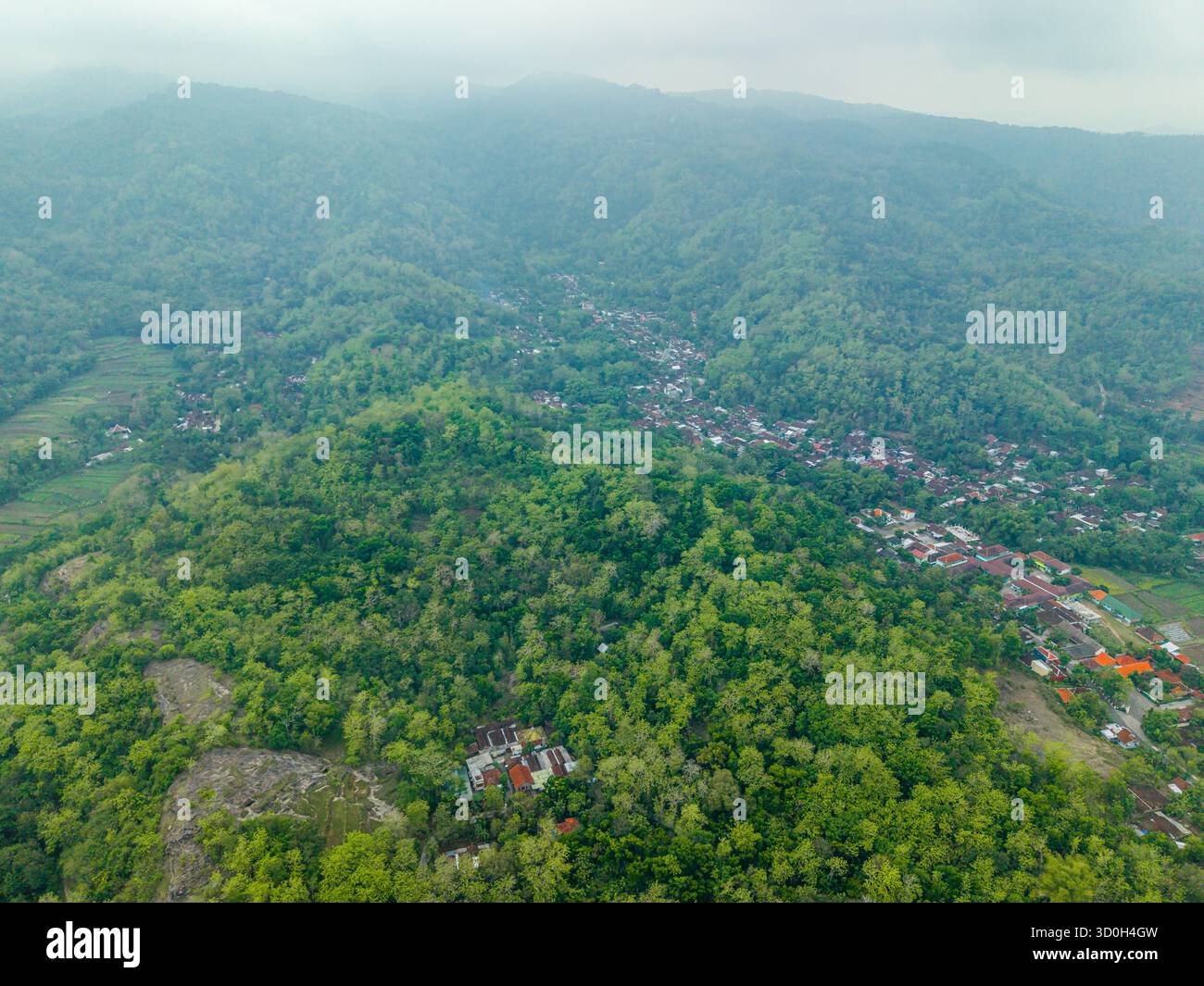 Vista aerea della lussureggiante e fitta foresta che ricopre il paesaggio, intervallata da piccoli insediamenti di villaggi sotto un cielo ammutinato. Yogyakarta, Daerah Istimewa Yogyakarta, Indonesia. Foto Stock