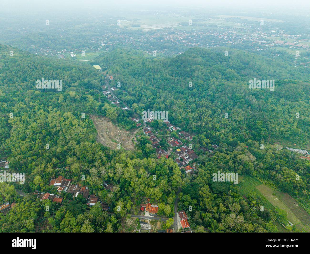 Vista aerea di un villaggio annidato tra un mare di alberi verdi e colline, con case che sbirciano attraverso il fitto fogliame, Yogyakarta, Daerah Istimewa Yogyakarta, Indonesia. Foto Stock