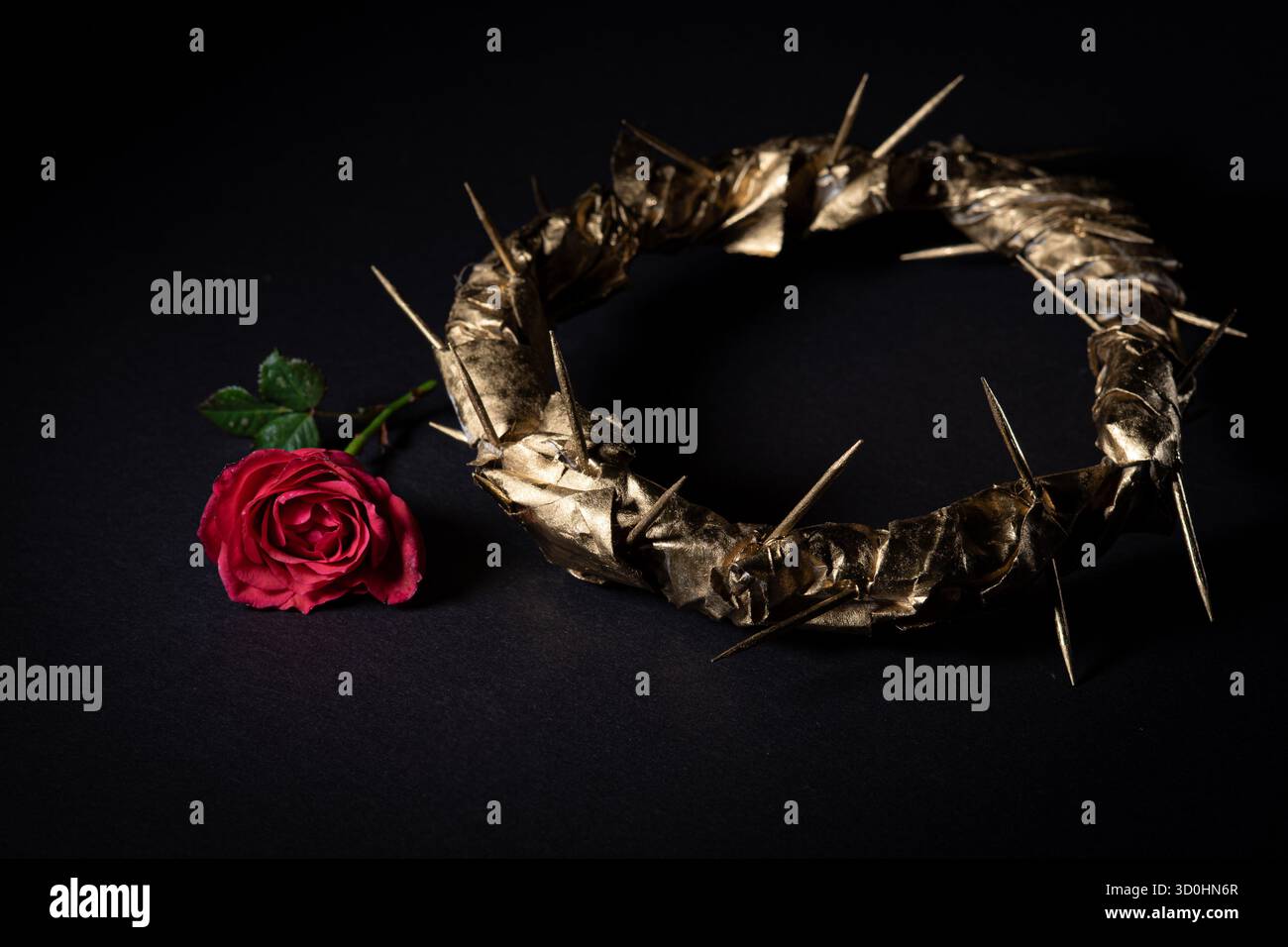 Corona dorata di spine e rosa rossa su sfondo nero. Messa a fuoco selezionata Foto Stock