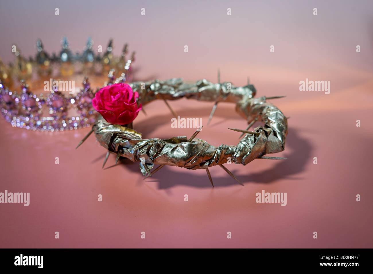 Corona dorata di spine e rosa rossa su sfondo rosa. Messa a fuoco selezionata Foto Stock