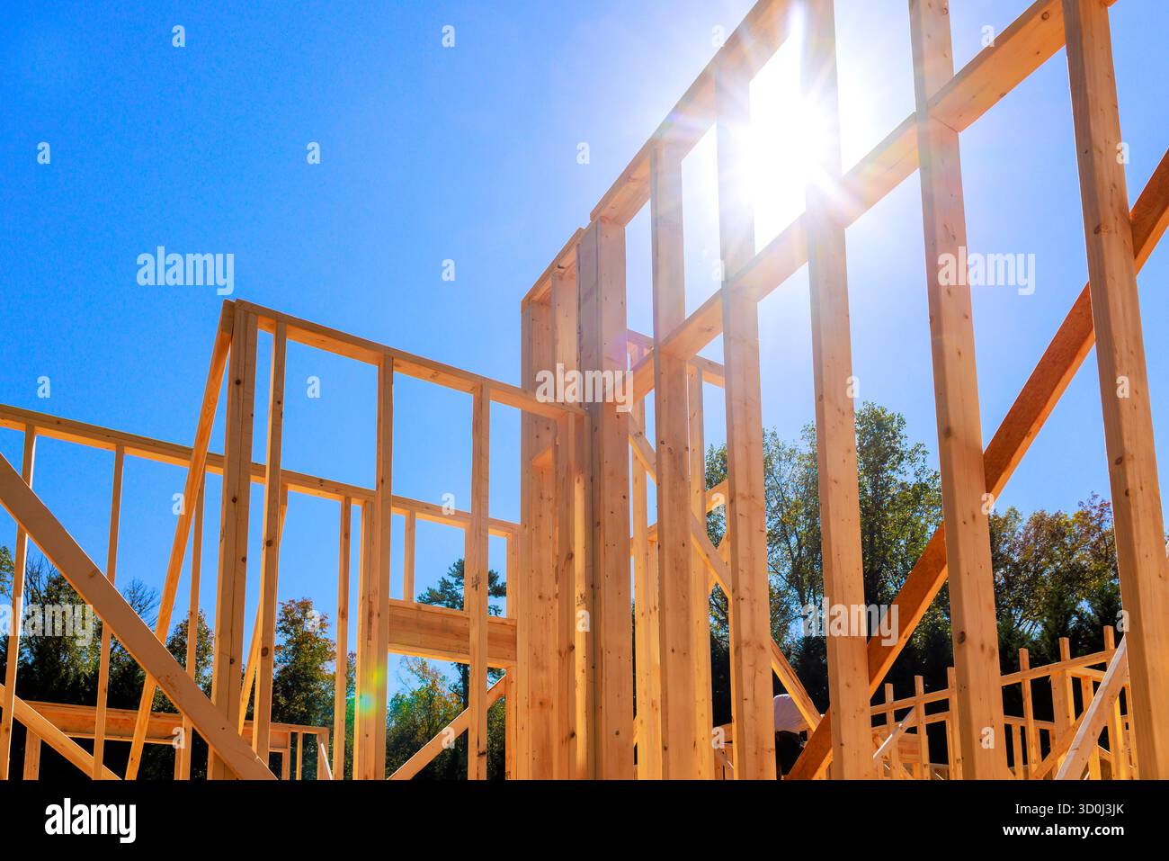 Le travi in legno prendono forma durante l'attività di costruzione di nuove abitazioni in mezzo a un paesaggio sereno. Foto Stock
