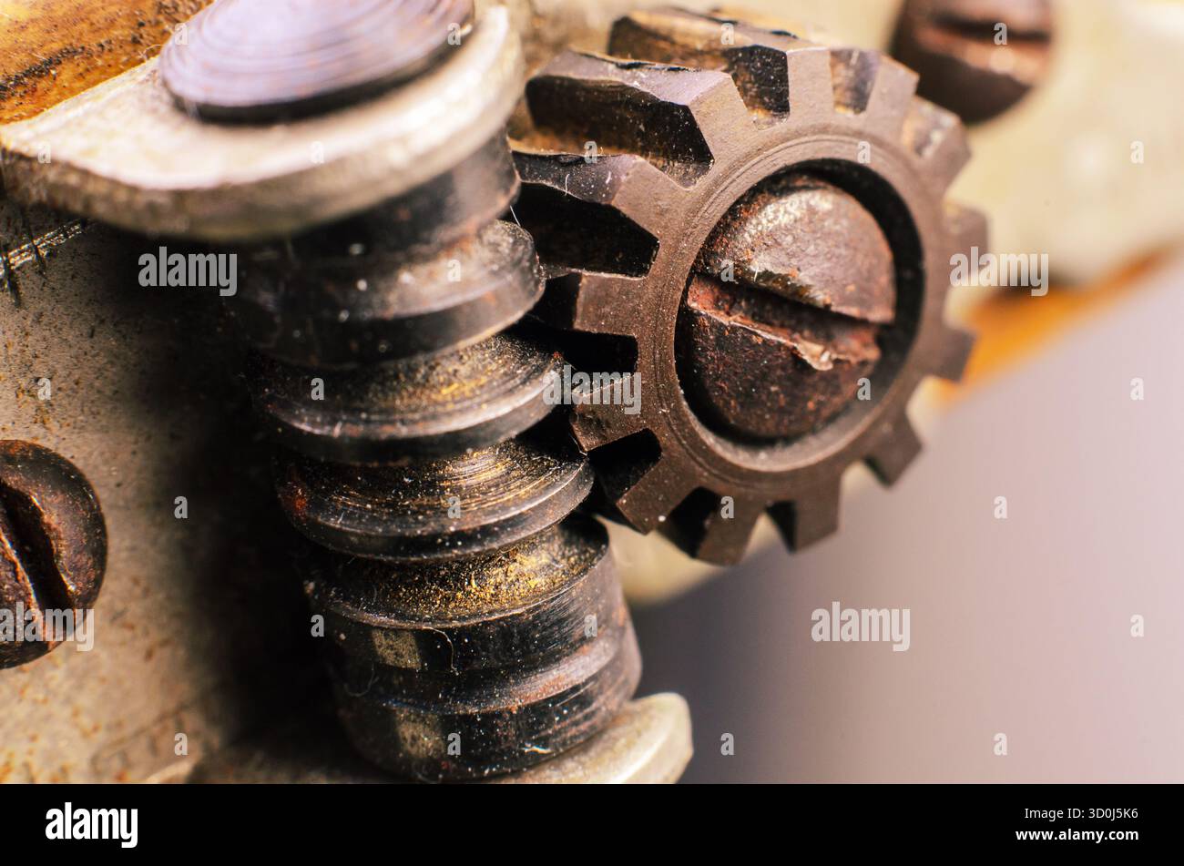 Vista macro estrema del meccanismo a ingranaggi con vite senza fine e ingranaggio cilindrico che mostra la struttura metallica, i dettagli meccanici e l'ingegneria industriale. Foto Stock