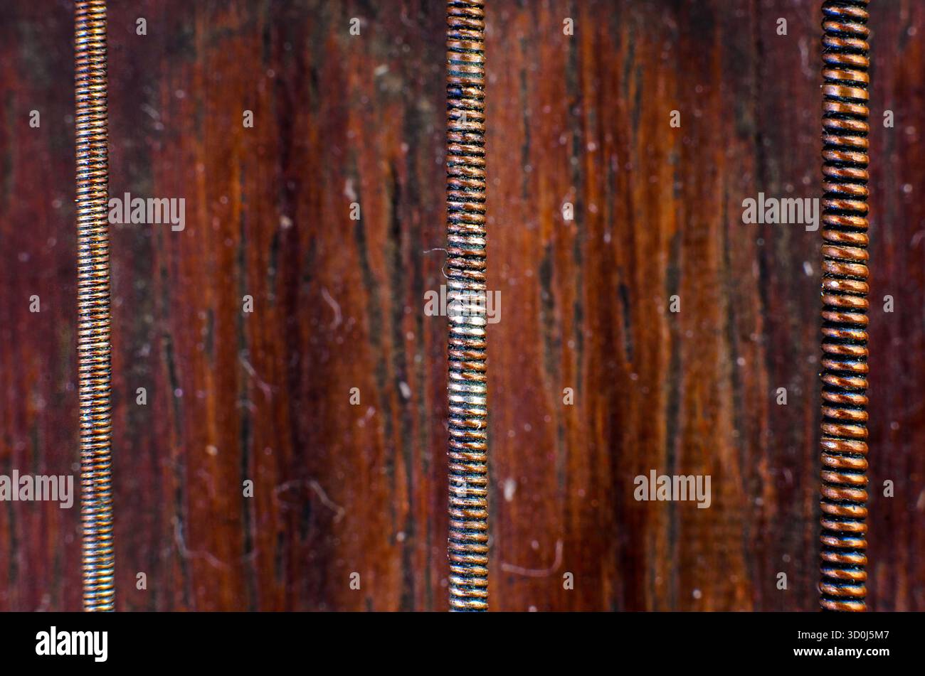 Dettaglio macro estremo di tre corde rivestite in rame su sfondo di legno scuro che mostrano texture, dettagli metallici e artigianato vintage. Foto Stock