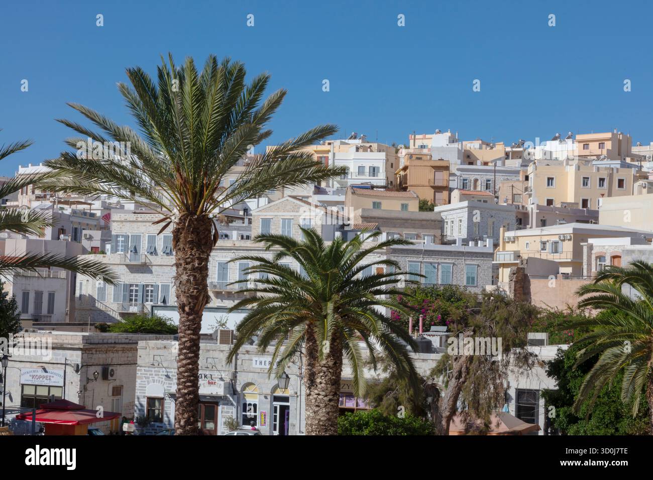 Palme nella cittadina collinare di Ermoupoli - Isola di Syros, Isole Cicladi, Grecia Foto Stock