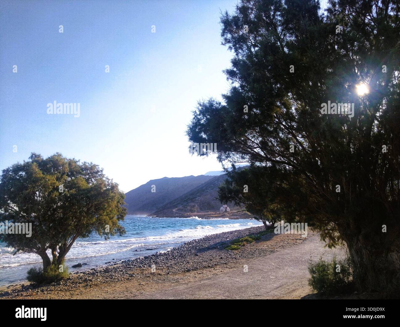 Alberi di Tamarisk vicino al mare con luce del sole e piccola chiesa bianca all'orizzonte vicino a Sitia, Creta orientale, Grecia. Foto Stock