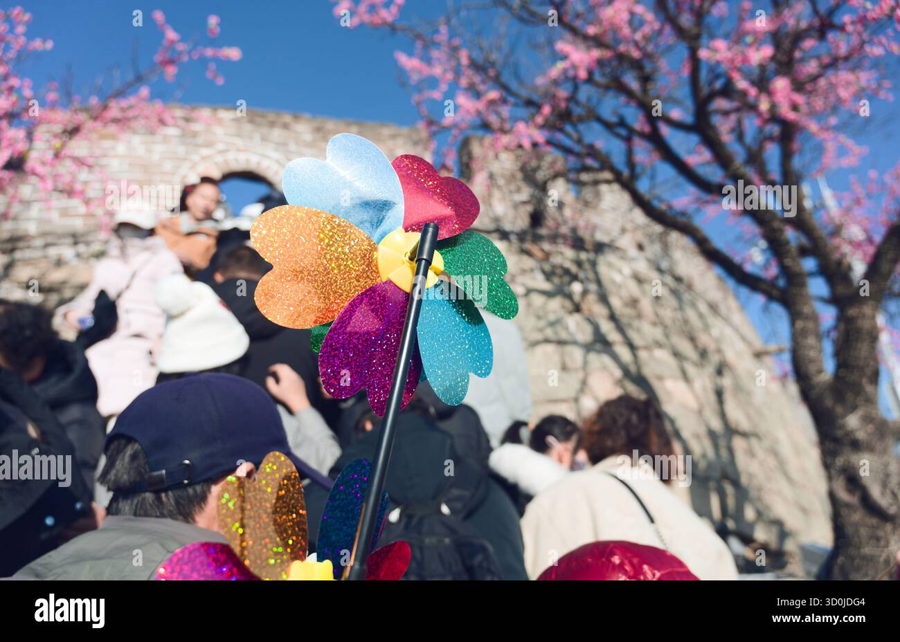 Una variopinta ruota dentata si distingue tra una folla di visitatori che scalano la grande Muraglia Cinese, con fiori rosa sullo sfondo Foto Stock