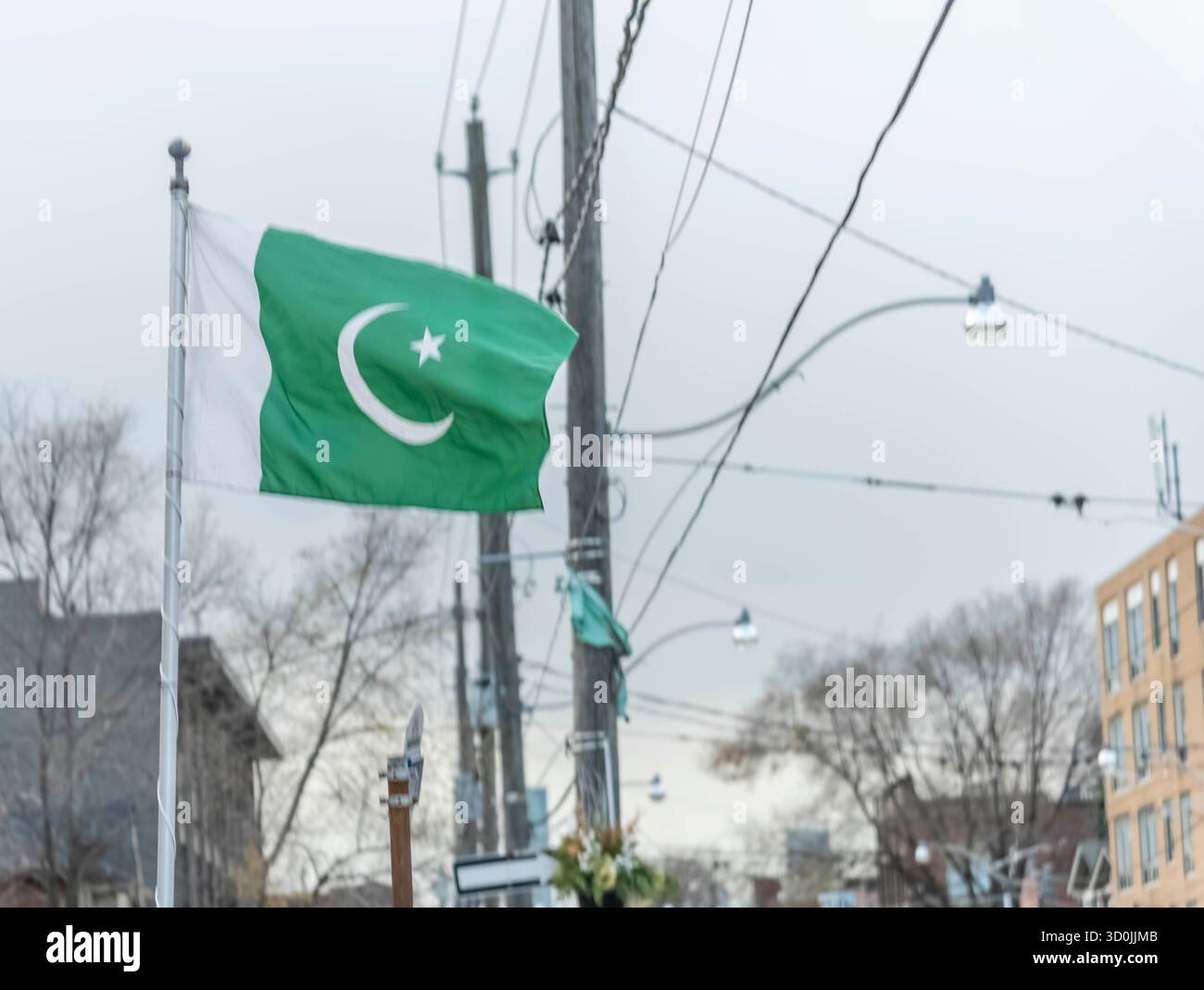 Bandiera pakistana Foto Stock