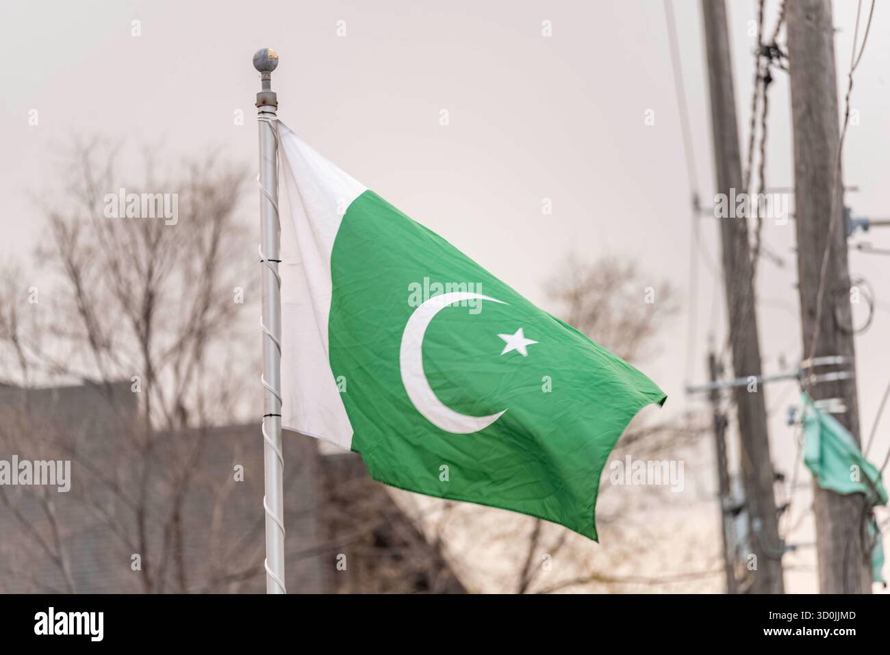Bandiera pakistana Foto Stock