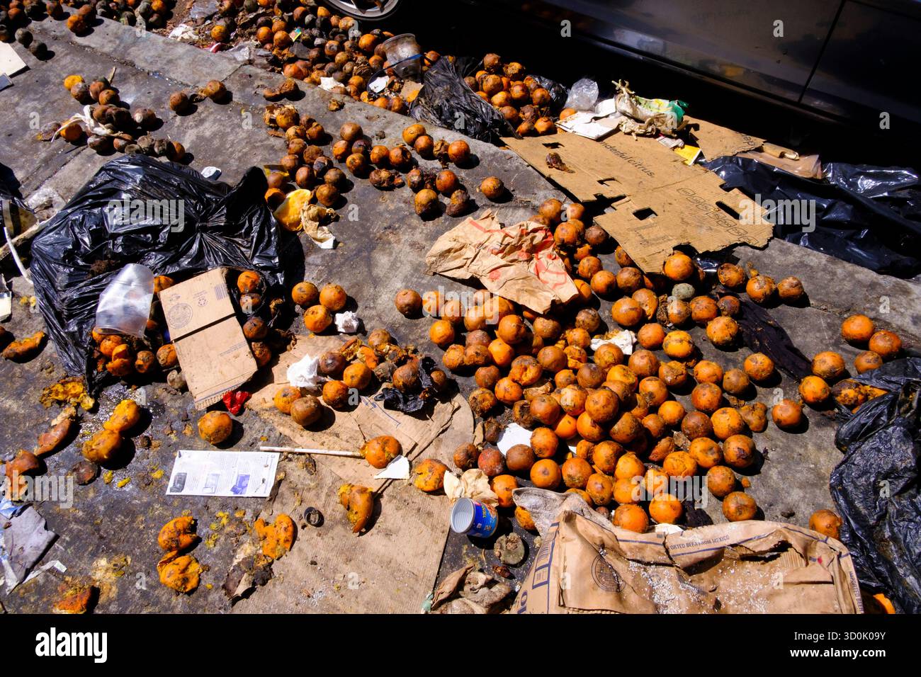 Cibo in decomposizione, Los Angeles, California, Stati Uniti d'America Foto Stock