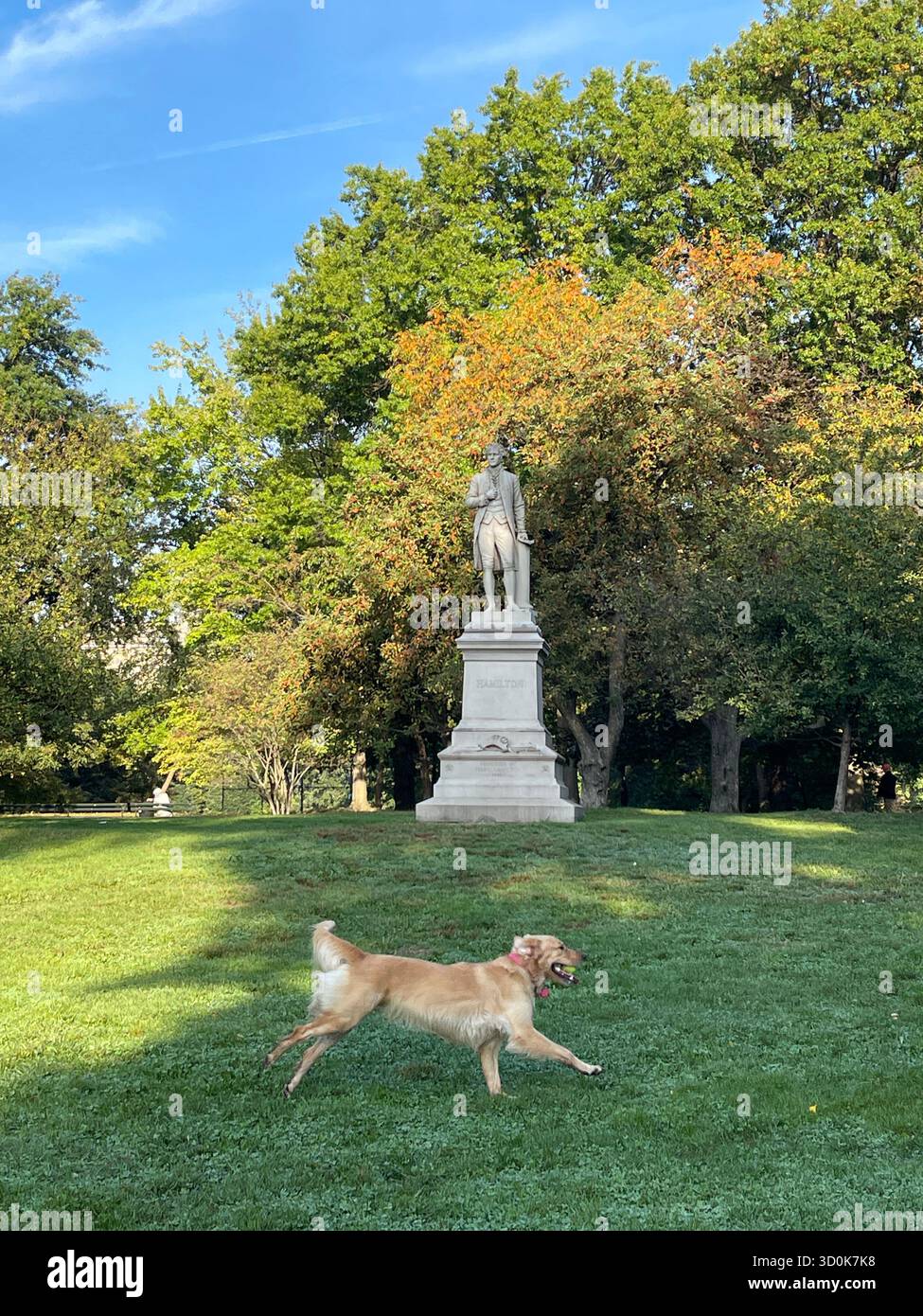 Cani a Central Park NYC - pura felicità in movimento. - Immagine stock catturata con smartphone