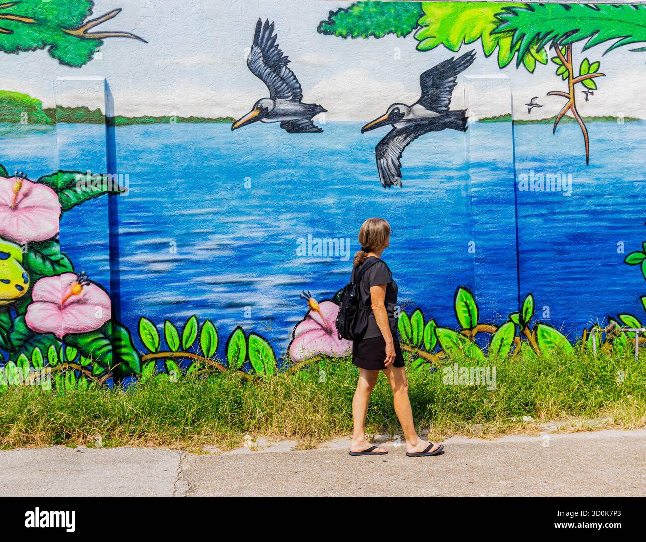 Passeggiata turistica femminile nel quartiere del fiume, Fort Myers, Florida, Stati Uniti Foto Stock