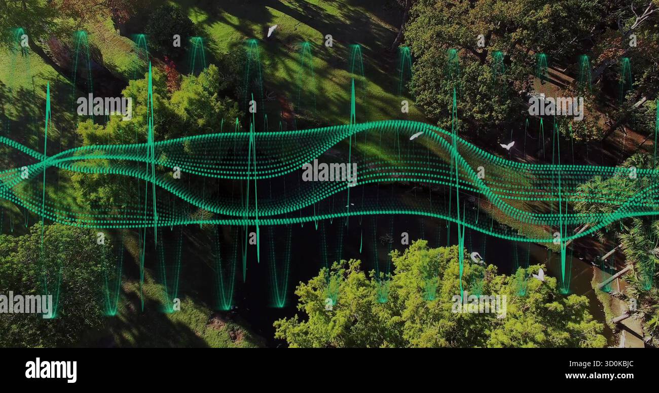 Forme d'onda digitali verdi fluttuanti nella pulizia del parco, che mostrano piccoli laghetti tra alberi fitti e uccelli bianchi Foto Stock