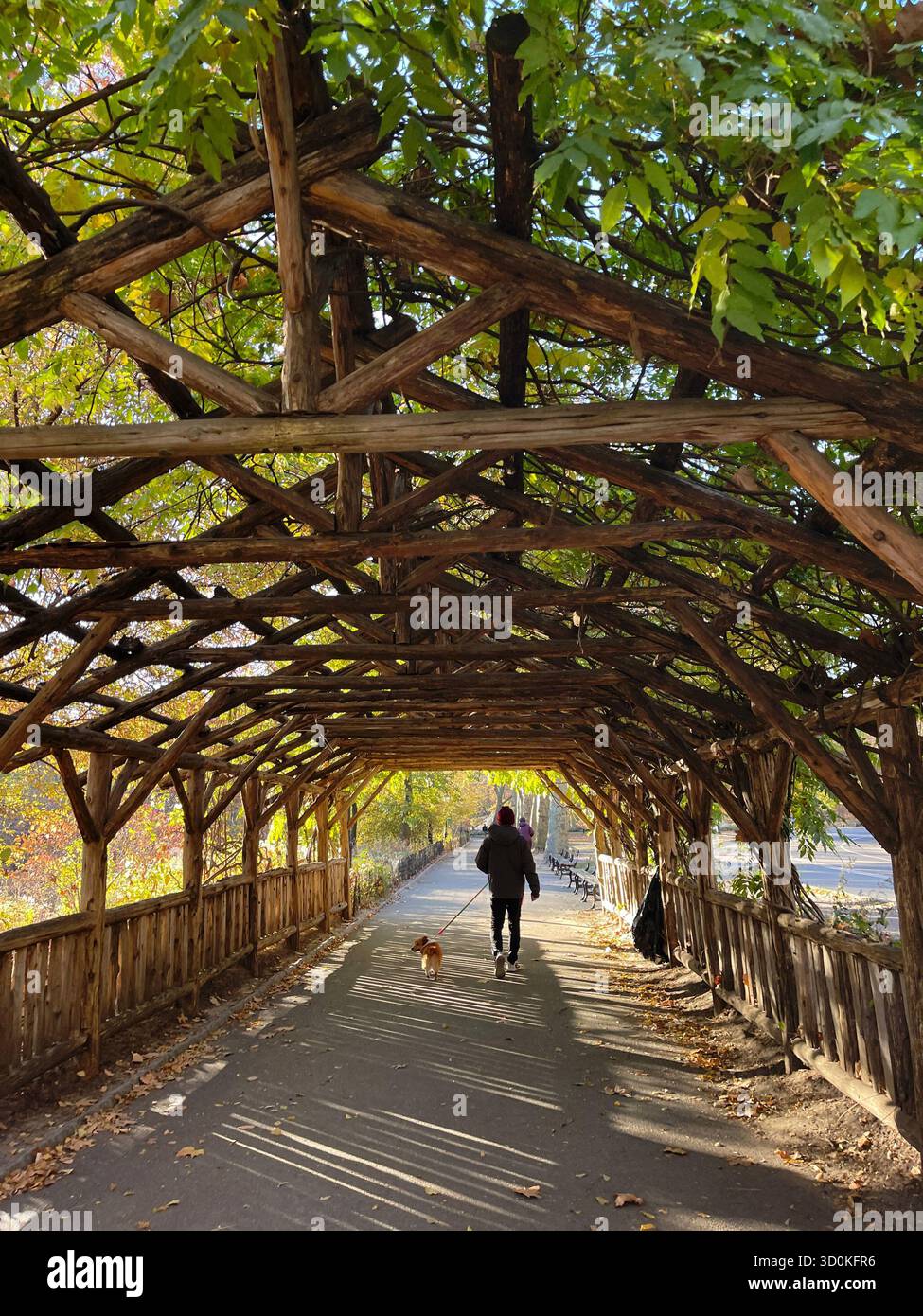 Cani a Central Park NYC - pura felicità in movimento. - Immagine stock catturata con smartphone