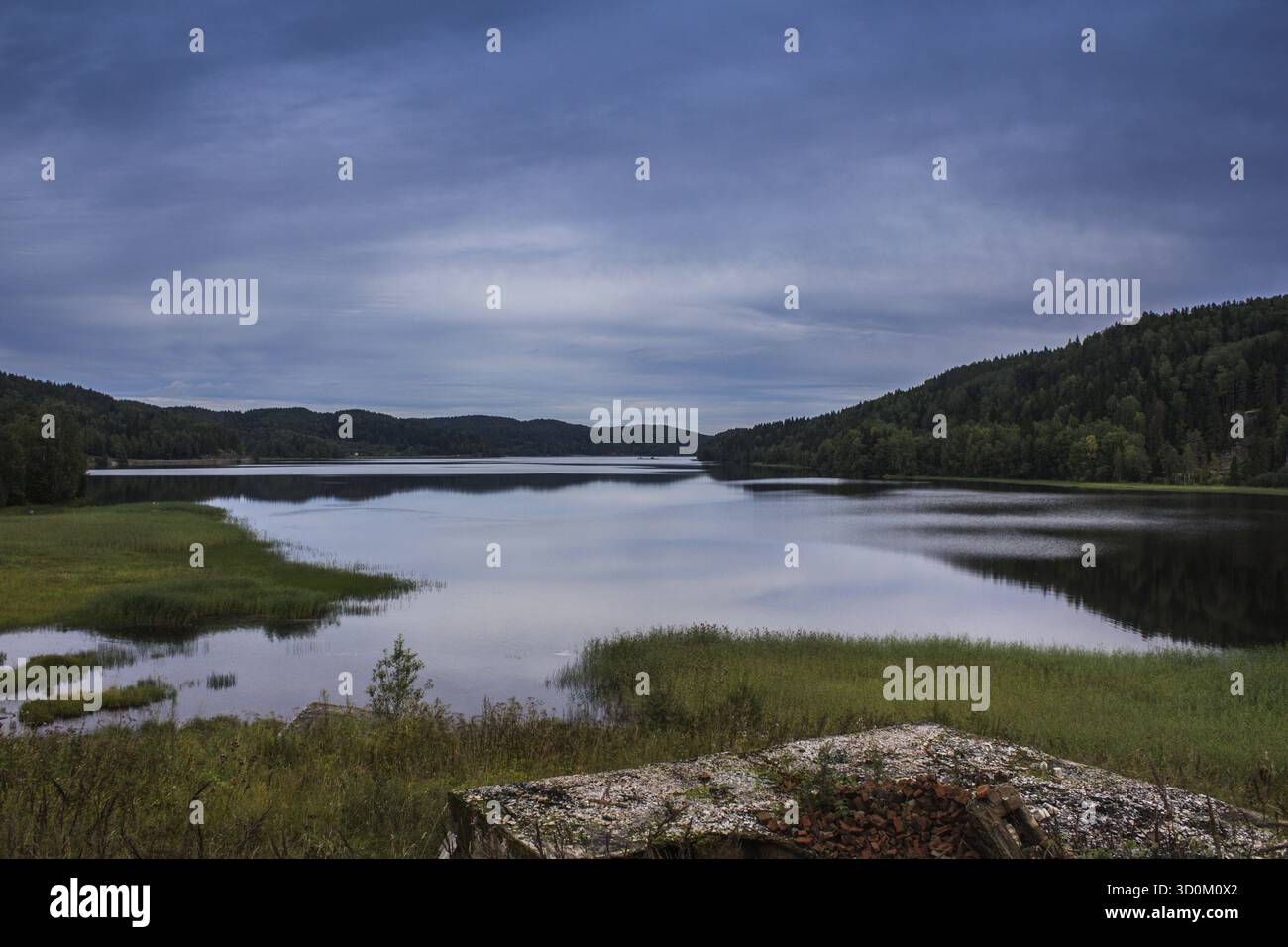 Il lago in Carelia. estate paesaggi naturali in viaggio. A nord della Russia Foto Stock
