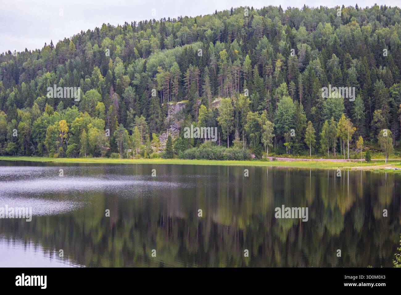 Il lago in Carelia. estate paesaggi naturali in viaggio. A nord della Russia Foto Stock