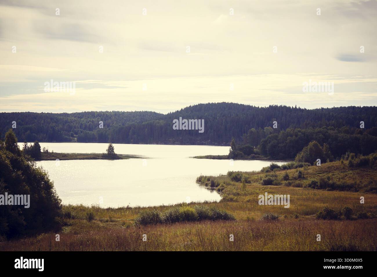 Il lago in Carelia. estate paesaggi naturali in viaggio. A nord della Russia Foto Stock