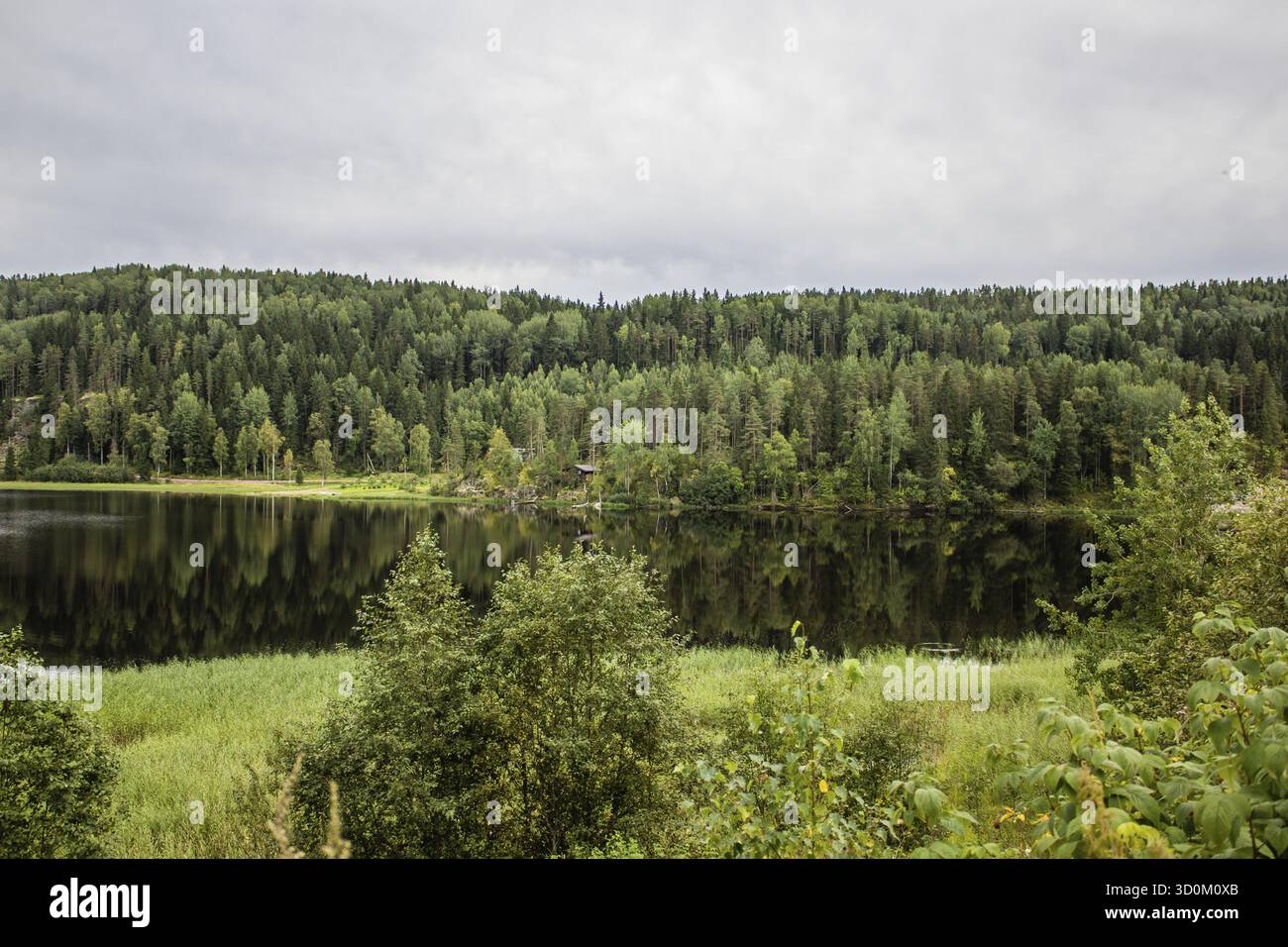 Il lago in Carelia. estate paesaggi naturali in viaggio. A nord della Russia Foto Stock