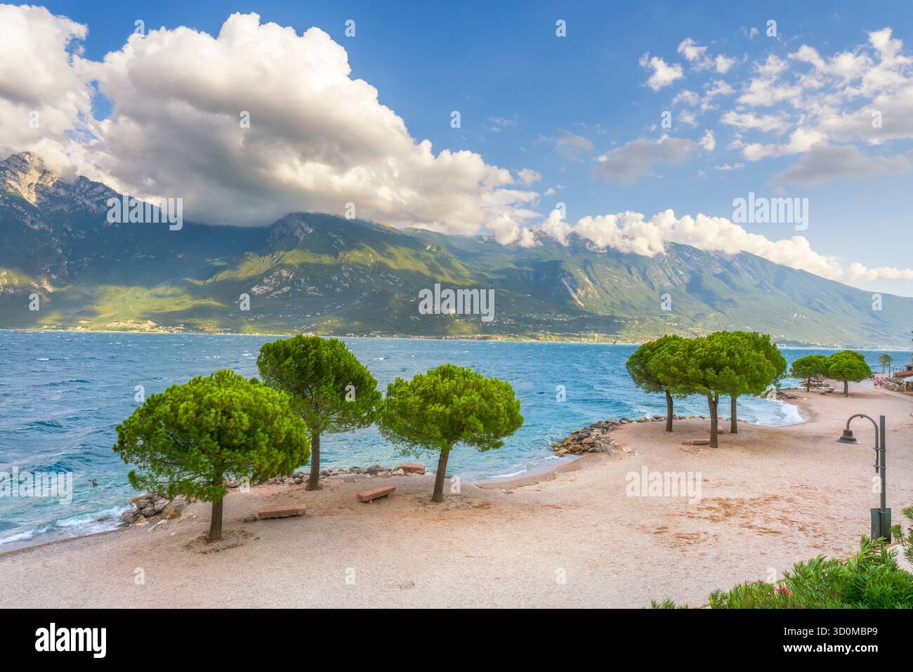 Vista su una spiaggia e pini sulla riva del Lago di Garda, vicino a Limone sul Garda, Lombardia, Italia. Acqua azzurra e montagne dell'alto Garda nel mare Foto Stock