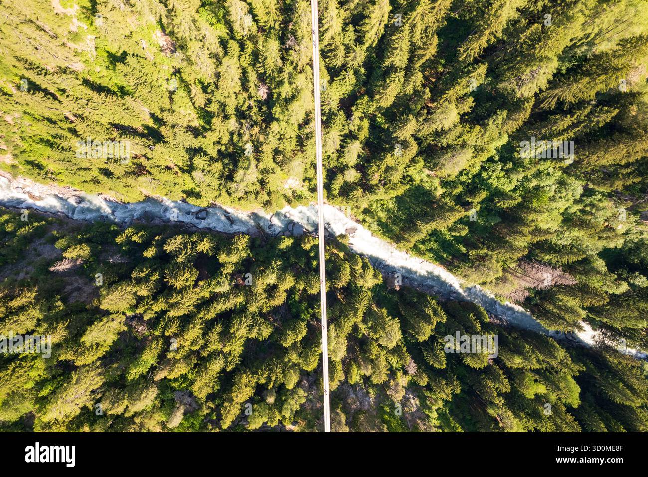 Veduta aerea di uno stretto e pallido sentiero che attraversa una fitta e vibrante foresta, un netto contrasto di colore e consistenza, Arosa, Svizzera. Foto Stock