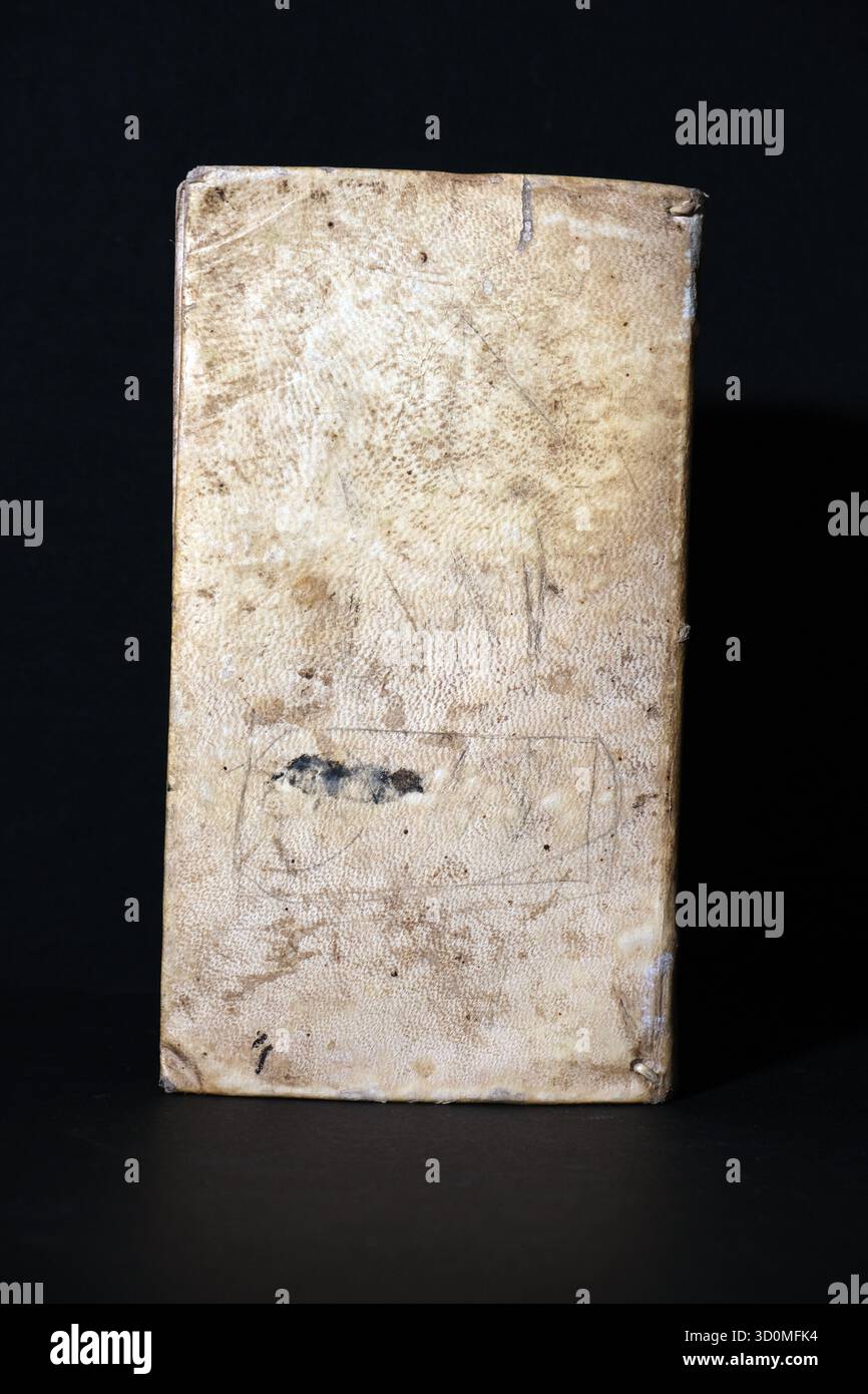 Copertina non ornata e testurizzata di un libro molto vecchio, probabilmente rilegata in pergamena ruvida o in pelle martellata di colore chiaro. Usura, macchie e invecchiamento Foto Stock
