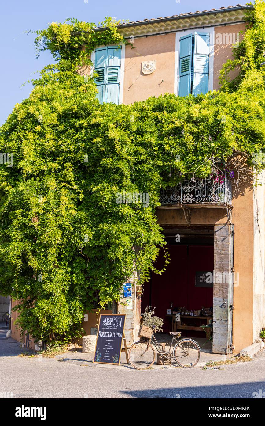 Riez, Francia, estate — glicine Cascading (Wisteria sp.) Fiorisce lungo la facciata di una tradizionale casa provenzale, aggiungendo colori vivaci e fascino Foto Stock