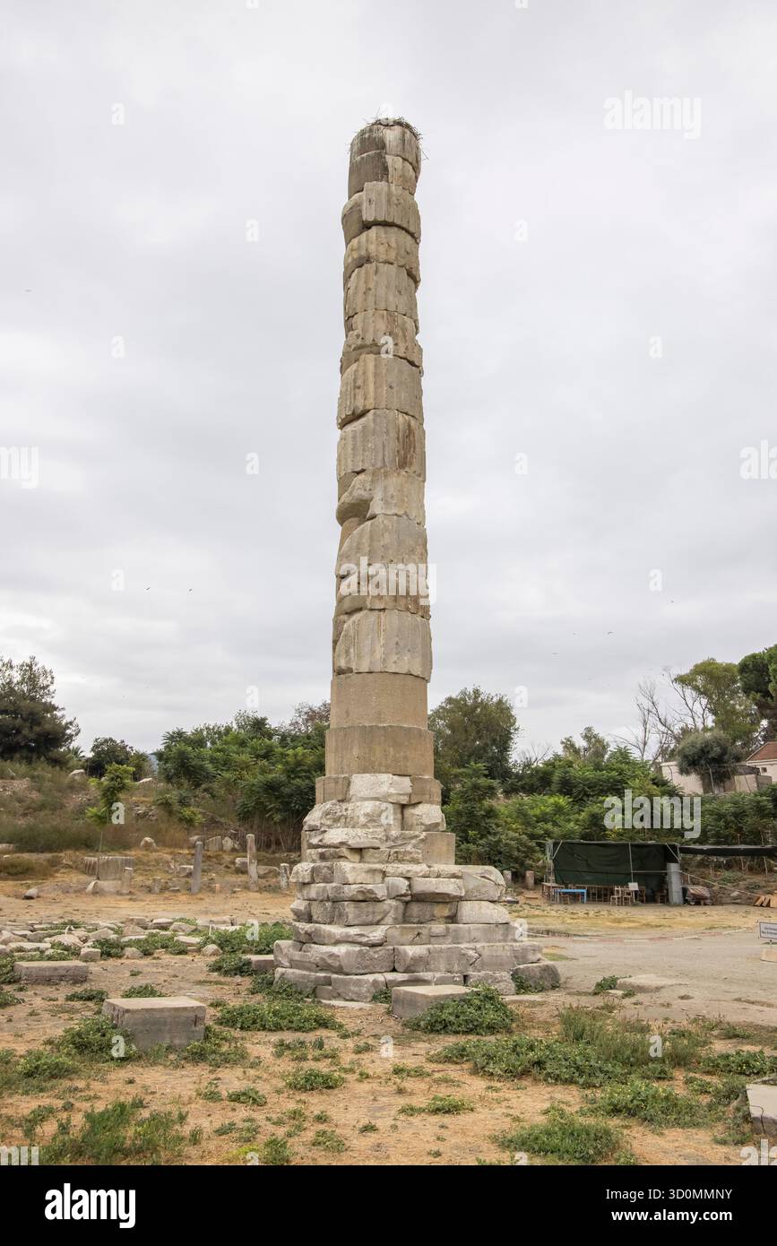 solo una colonna rimane nel tempio di artemide a selcuk in turchia Foto Stock