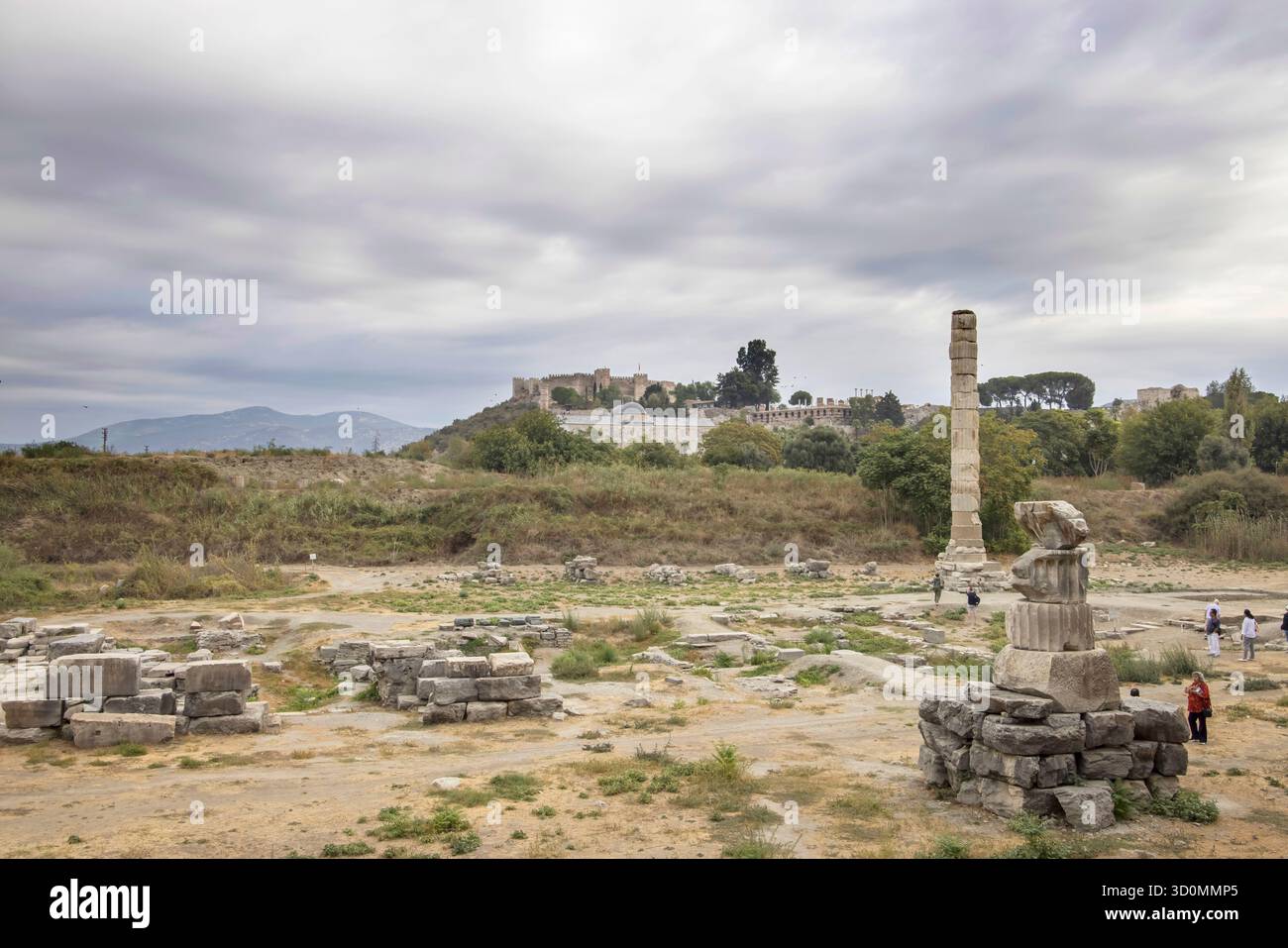 solo una colonna rimane nel tempio di artemide a selcuk in turchia Foto Stock