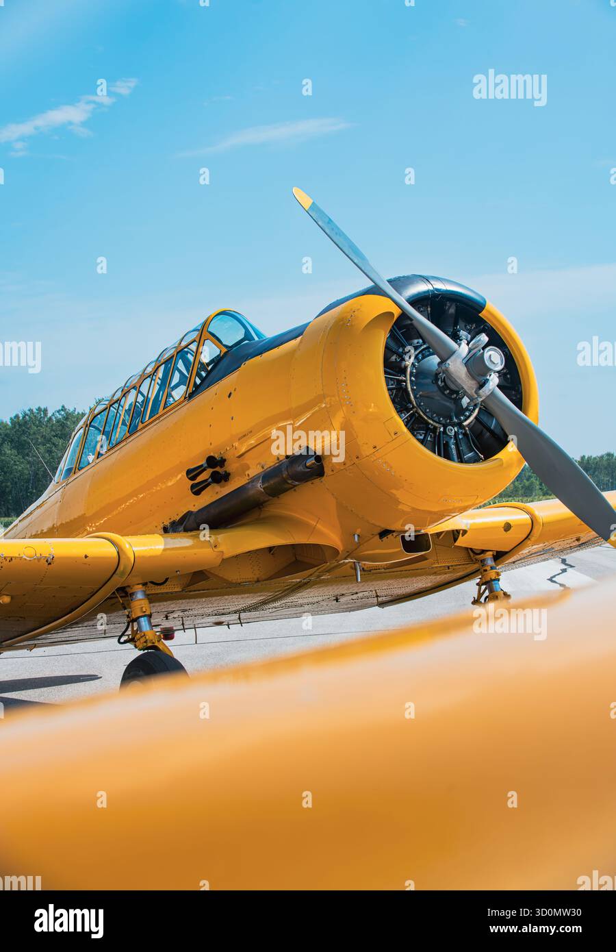 vista ravvicinata di un uccello da guerra giallo d'epoca, che mette in risalto l'elica, il motore radiale e il tettuccio della cabina di pilotaggio contro un cielo blu cristallino. Catturato in volo Foto Stock