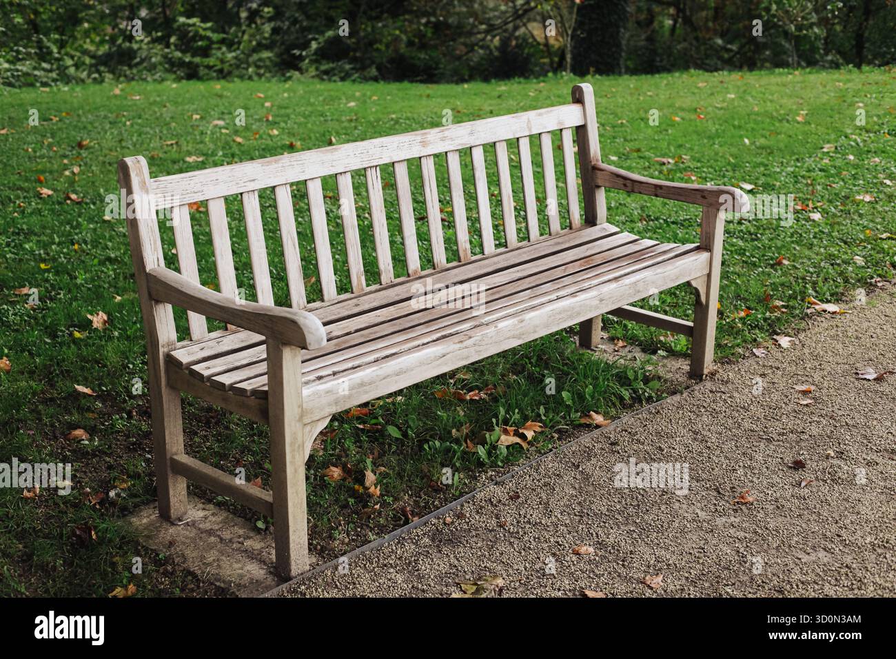 Panca vuota in legno nel verde del giardino. Posti a sedere all'aperto nel parco pubblico in autunno. Natura urbana tranquilla e concetto di spazio per il tempo libero. Foto Stock