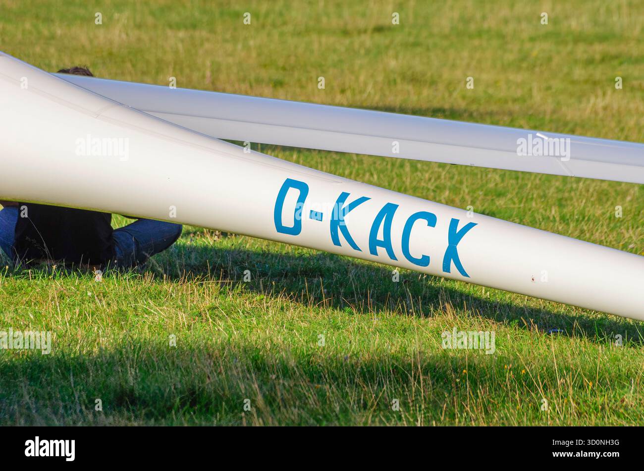 Coda di un aliante registrato D-KACX durante una mostra aerea a Rossfeld a Metzingen-Glems, Baden-Württemberg, Germania, solo per uso editoriale. Foto Stock