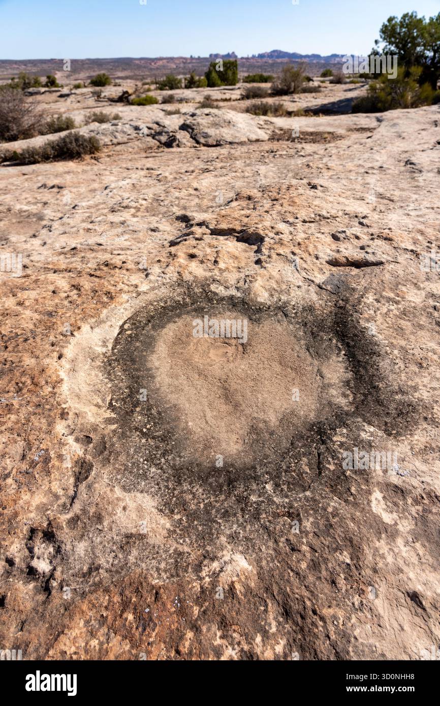 Pista preistorica di dinosauri sauropodi in arenaria vicino a Moab, Utah. Foto Stock