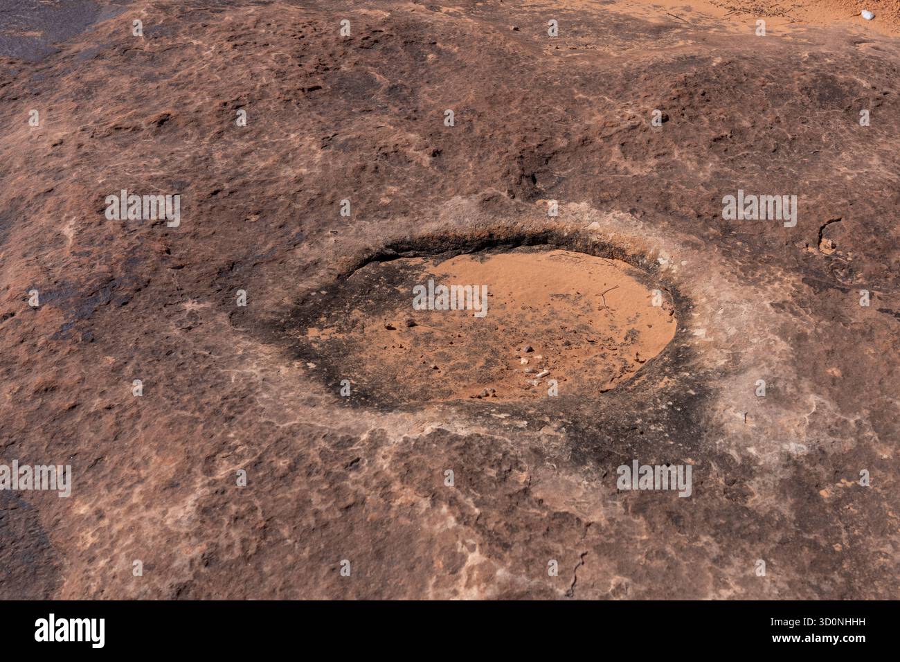 Pista preistorica di dinosauri sauropodi in arenaria vicino a Moab, Utah. Foto Stock