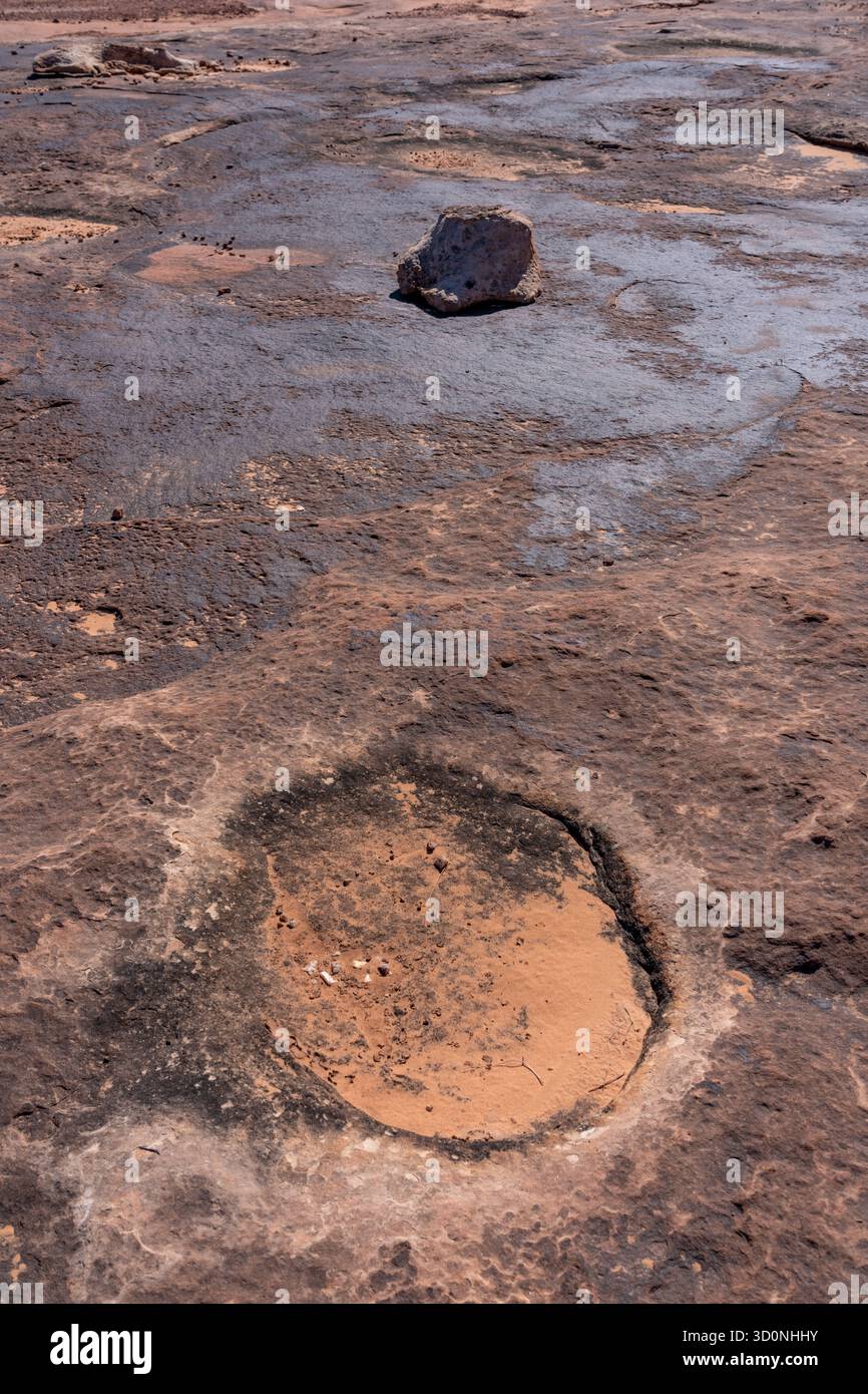 Pista preistorica di dinosauri sauropodi in arenaria vicino a Moab, Utah. Foto Stock