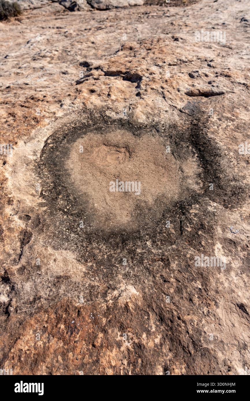 Pista preistorica di dinosauri sauropodi in arenaria vicino a Moab, Utah. Foto Stock