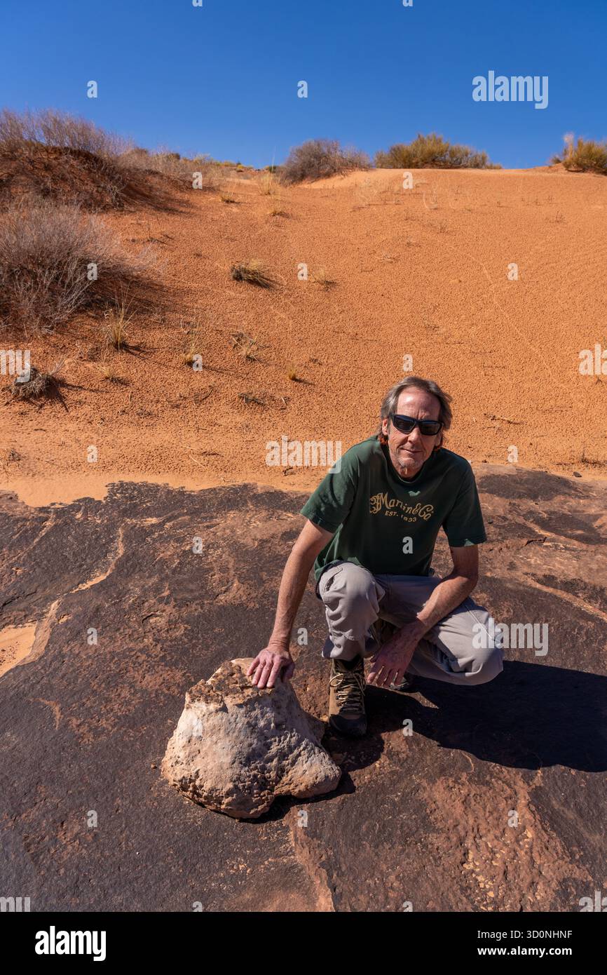 Calco in pietra naturale di una pista preistorica di dinosauro sauropode in arenaria vicino a Moab, Utah. Il pezzo fuso ha la forma del pes, o del piede posteriore. Foto Stock