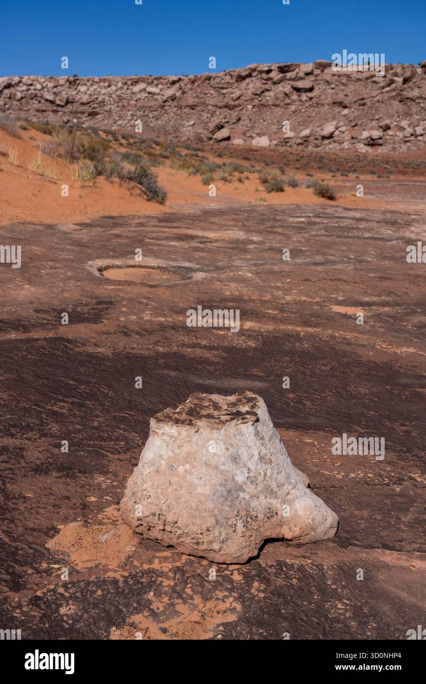 Calco in pietra naturale di una pista preistorica di dinosauro sauropode in arenaria vicino a Moab, Utah. Il pezzo fuso ha la forma del pes, o del piede posteriore. Foto Stock