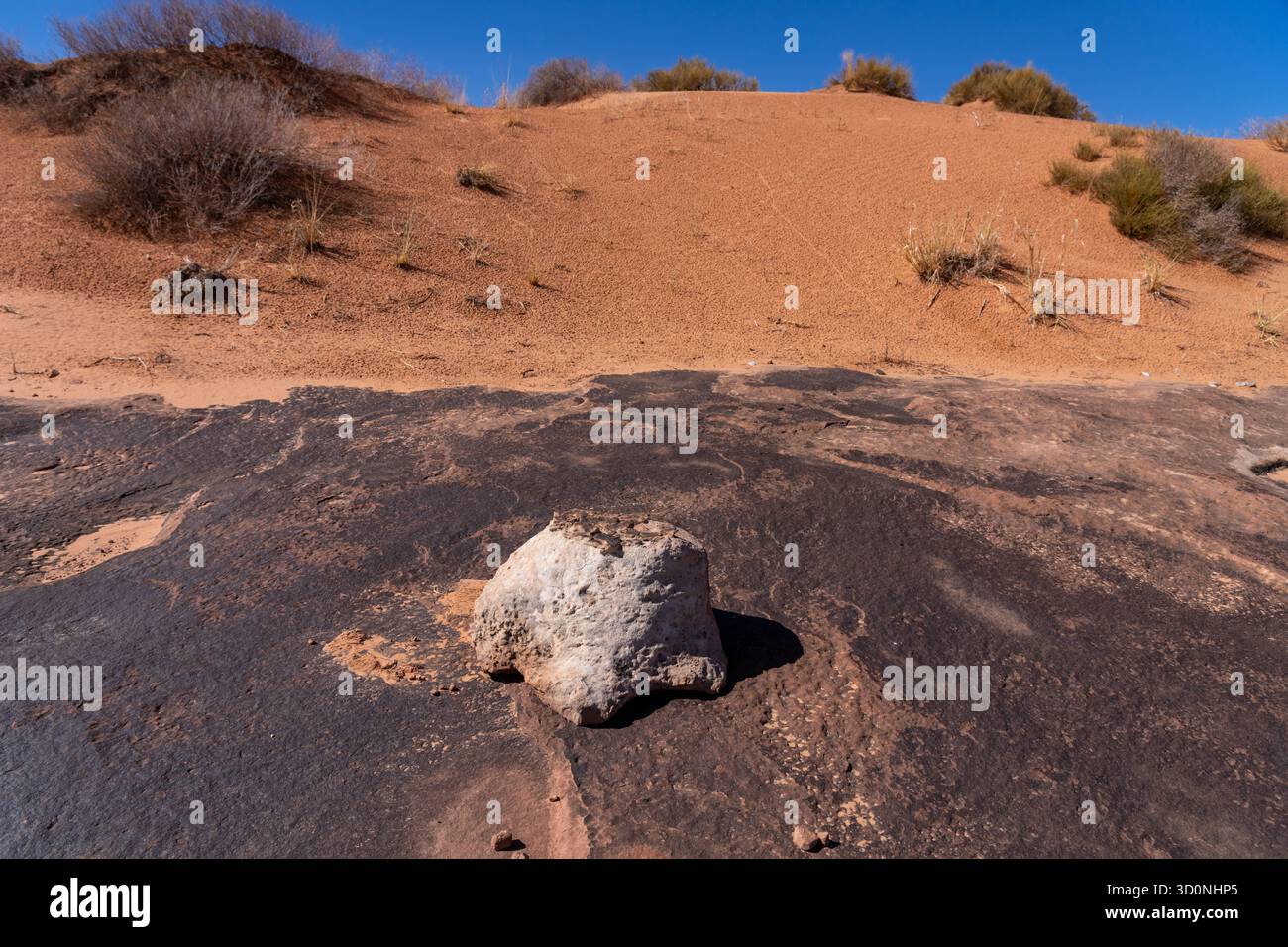 Calco in pietra naturale di una pista preistorica di dinosauro sauropode in arenaria vicino a Moab, Utah. Il pezzo fuso ha la forma del pes, o del piede posteriore. Foto Stock