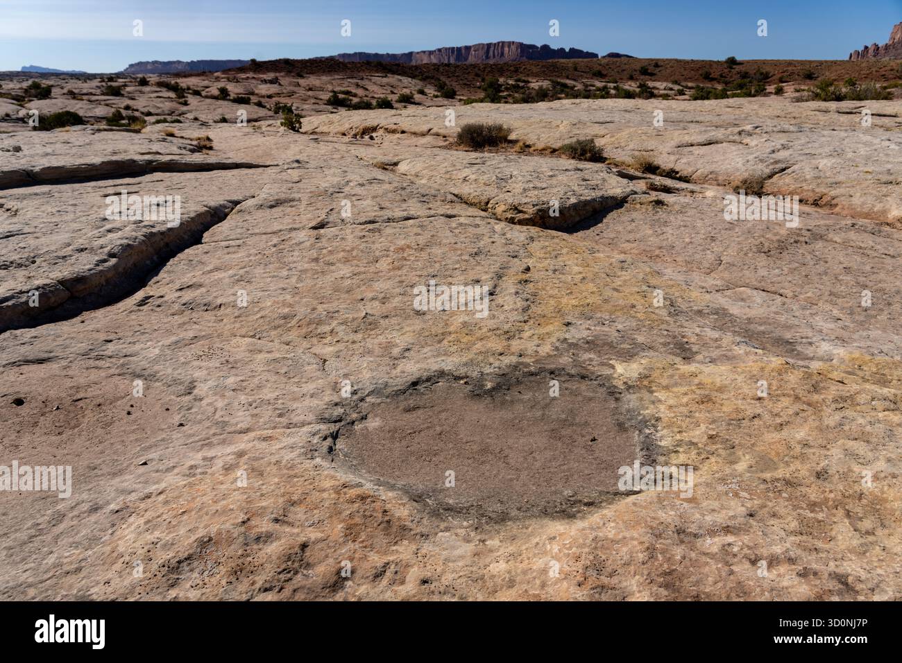 Pista preistorica di dinosauri sauropodi in arenaria vicino a Moab, Utah. Foto Stock