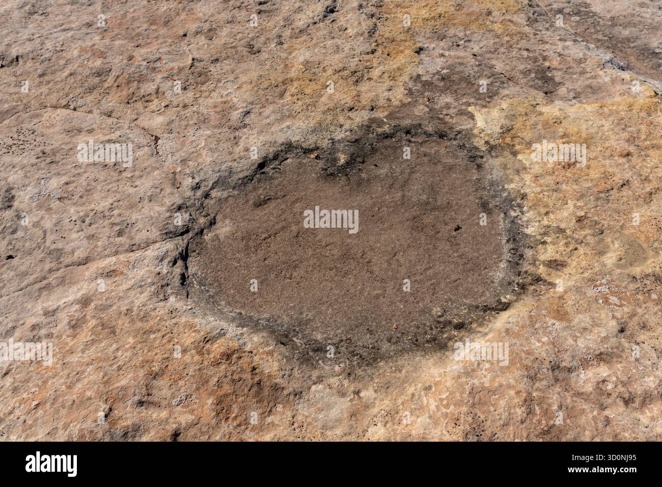 Pista preistorica di dinosauri sauropodi in arenaria vicino a Moab, Utah. Foto Stock