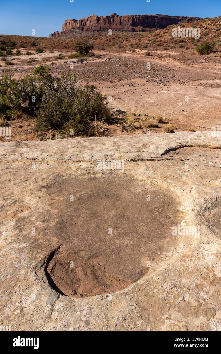 Pista preistorica di dinosauri sauropodi in arenaria vicino a Moab, Utah. Foto Stock