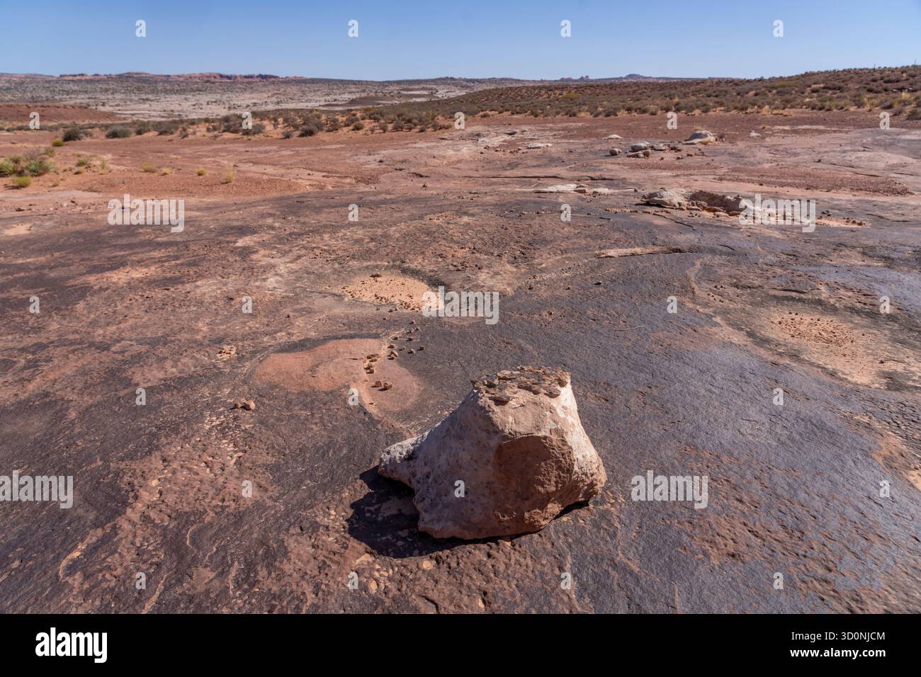 Calco in pietra naturale di una pista preistorica di dinosauro sauropode in arenaria vicino a Moab, Utah. Il pezzo fuso ha la forma del pes, o del piede posteriore. Foto Stock