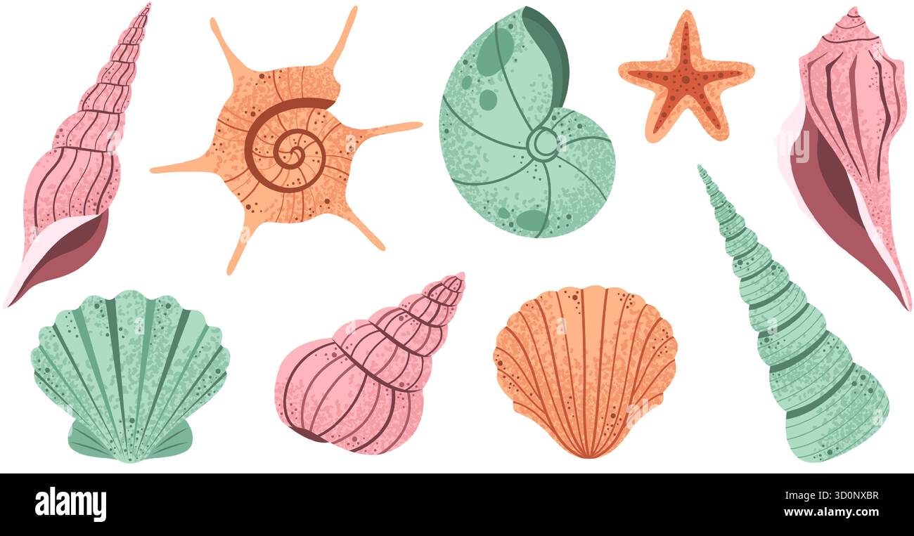 Conchiglia disegnata a mano. Collezione di conchiglie marine, conchiglie oceaniche con molluschi marini e stelle marine, elementi di vita marina da spiaggia. Vacanze estive, nautiche Illustrazione Vettoriale