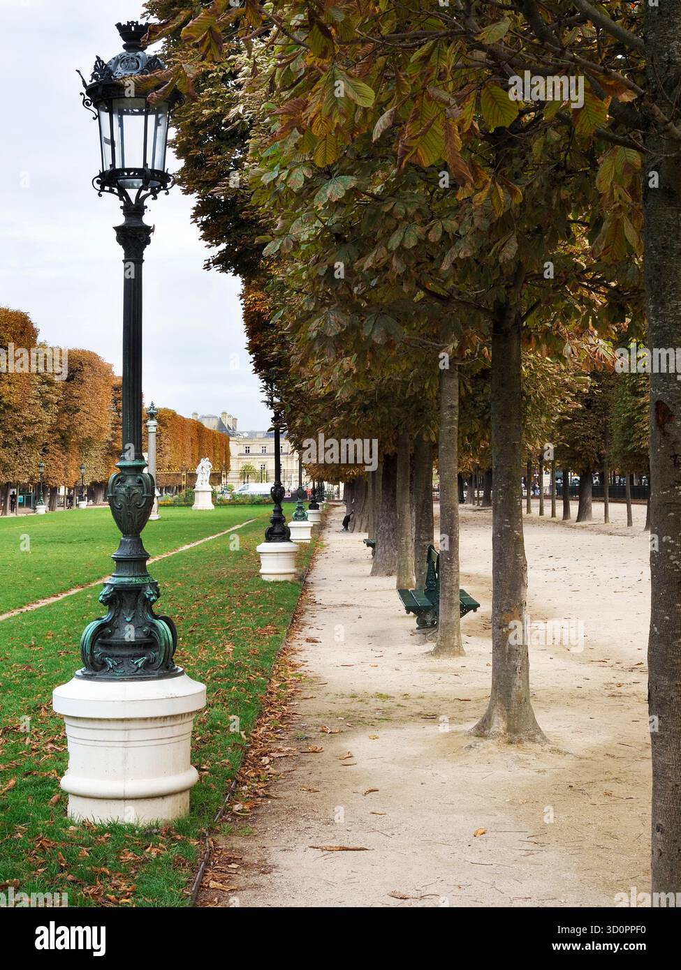 All'inizio dell'autunno, all'Esplanade Gaston di Monnerville, guardando verso il Jardin du Luxembourg Parigi Francia Foto Stock